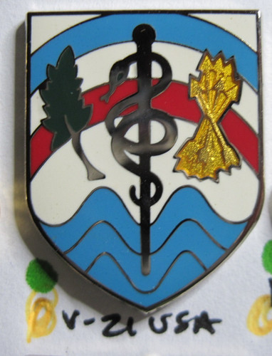 Army crest dui - army, cb